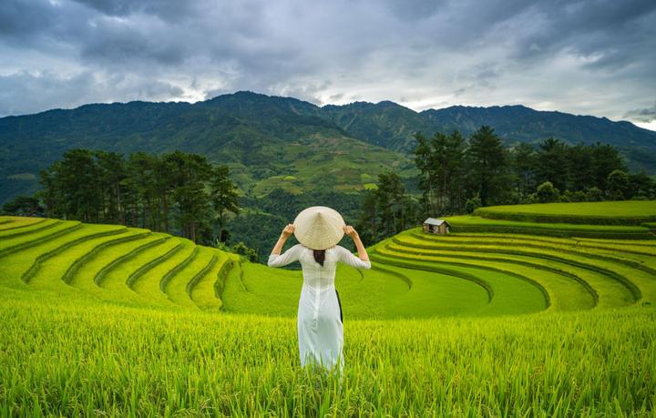 Quảng bá Nhà Hàng trên Video Ngắn cùng Hotspot Matrix