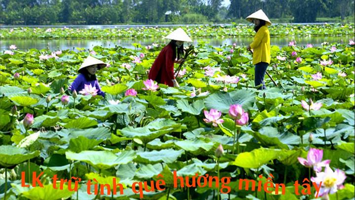 Hotspot Matrix và Mỹ nam Việt đóng liên tiếp 7 phim lỗ nặng, đẹp trai vô đối nhưng sao mà