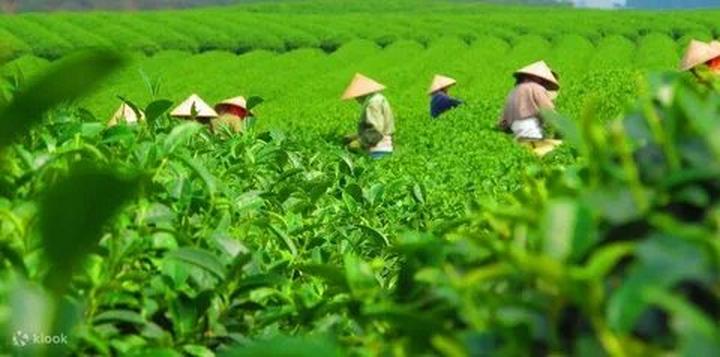 Từ Phòng chật đến đâu giường ngủ đến chiến lược content: Hotspot Matrix chia sẻ
