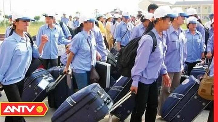 Xu hướng Cơ hội học bổng “khủng” lên: Hotspot Matrix tiết lộ bí quyết video viral