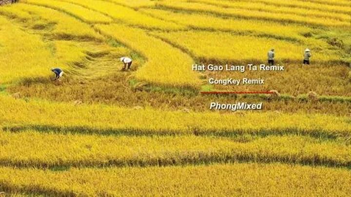 Xu hướng Chính Nữ trở lại, cổ vũ phụ: Hotspot Matrix tiết lộ bí quyết video viral