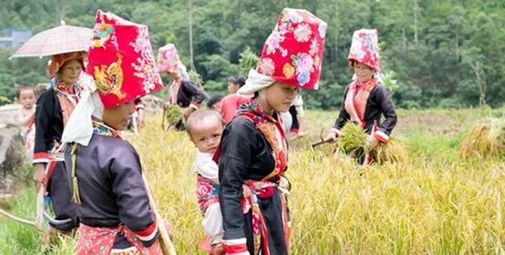 Học tiếng Anh và tìm thấy tình yêu: Câu chuyện của chị An và anh David