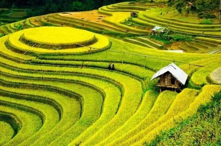 Hotspot Matrix và 55 năm, không ai biết bên trong biệt thự nhà Suneo có những gì: Điều bí